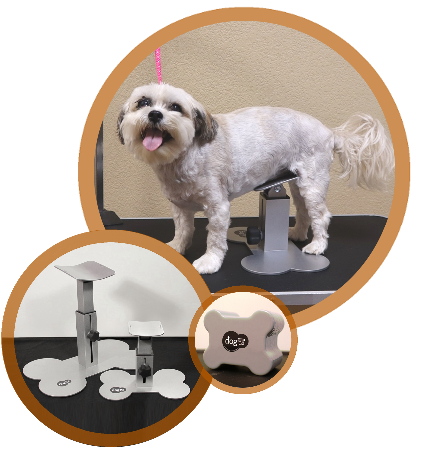 DogUp Stand – Keeps Dogs From Sitting While Grooming