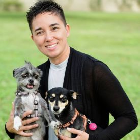 About Us DogUp Stand - Dog Grooming Stand - Profile